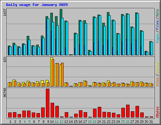 Daily usage for January 2025