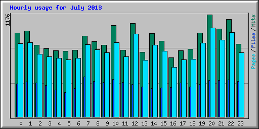 Hourly usage for July 2013