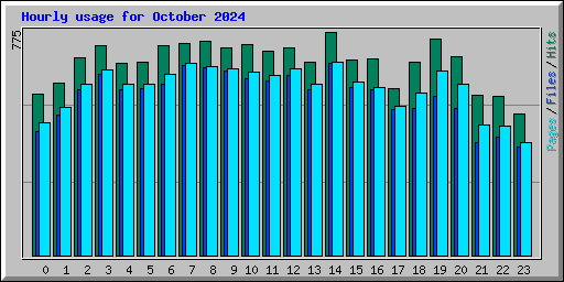 Hourly usage for October 2024