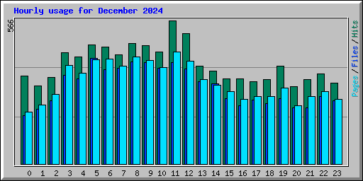 Hourly usage for December 2024