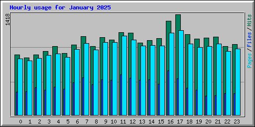 Hourly usage for January 2025