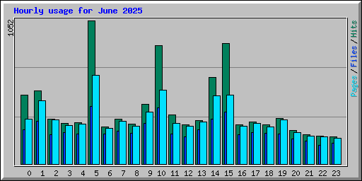 Hourly usage for June 2025