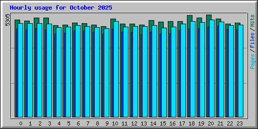 Hourly usage for October 2025
