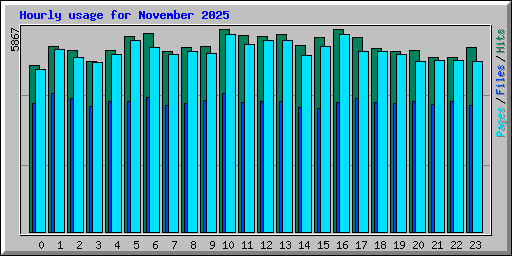 Hourly usage for November 2025