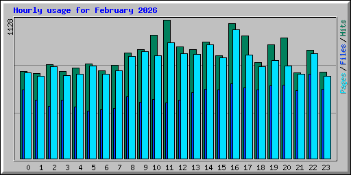 Hourly usage for February 2026
