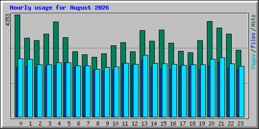 Hourly usage for August 2026